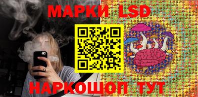 apvp Обнинск