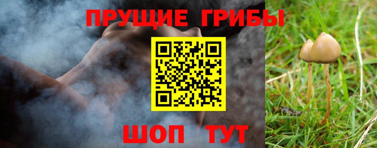 Псилоцибиновые грибы Magic Shrooms  Вход с VPN  Соликамск 